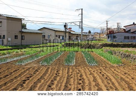 The Shimo Yoshida Districts  At Yamanashi At Jp