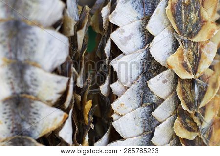 Dried Hanging Fish. Taranka. Fish Market.dried Chunks Of Fish Hung In A Row