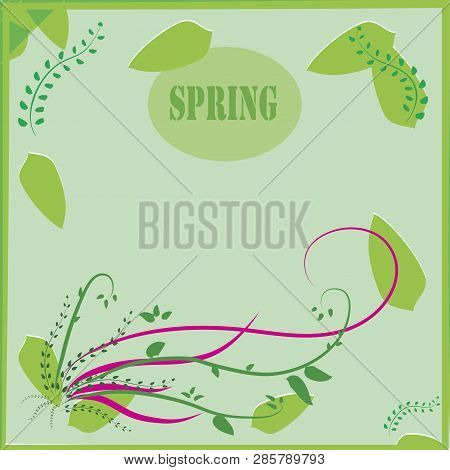Spring Flower Background - Composition. Spring Flower Composition