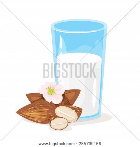 Vegetarian Glass Of Almond Milk With Kernel. Vector Illustration Isolated On White Background. Vegan