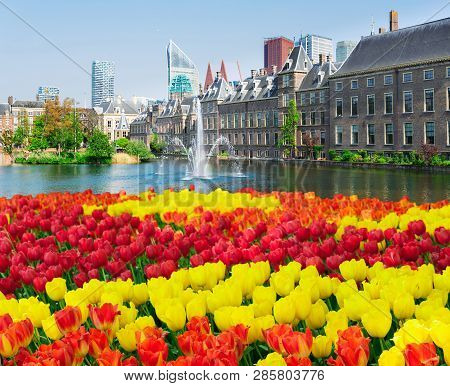 View Of Binnenhof - Dutch Parliament At Spring With Tulips, The Hague, Holland
