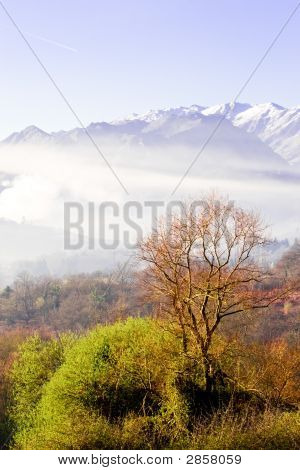 Paesaggio nebbioso