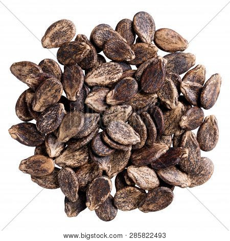 A Heap Of Quality Seeds Of Watermelon, Pumpkin For Your Beautiful Garden. Can Be Used For Create New
