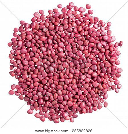 A Heap Of Quality Seeds Of Radish, Vegetable For Your Unique Garden. Can Be Used For Create Perfect 