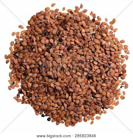 A Heap Of Quality Seeds Of Iberis, Flower For Your Adorable Garden. Can Be Used For Create New Styli