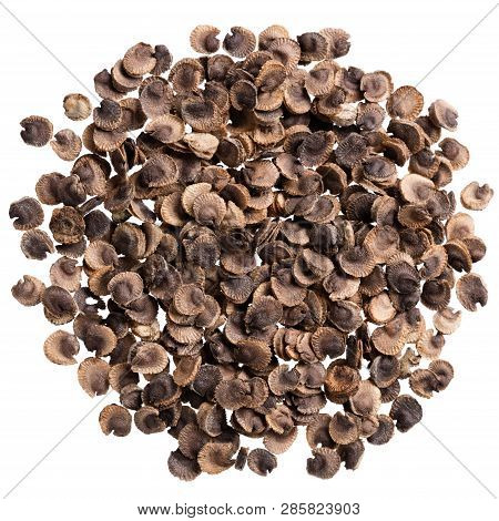 A Heap Of Quality Seeds Of Malva, Flower For Your Adorable Garden. Can Be Used For Create New Stylis