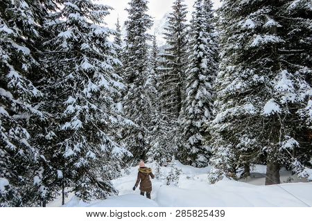 A Young Woman Snowshoeing Through Forests Of Island Lake In Fernie, British Columbia, Canada.  The M