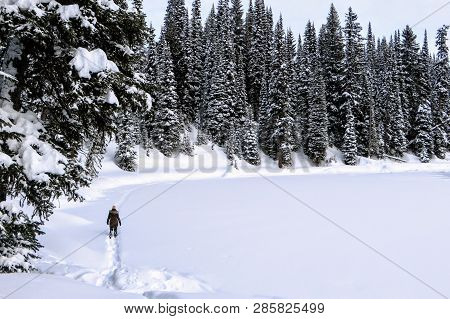 A Young Woman Snowshoeing Around Island Lake In Fernie, British Columbia, Canada.  The Majestic Wint