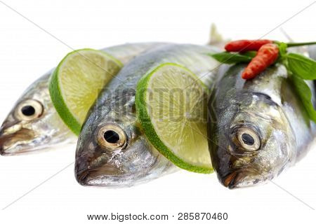 Fresh Fish With Lemon And Leaf Isolated On White Background,concept Cooking Background.