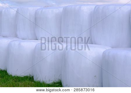 Hay Packed In Polyethylene Pvc Packaging Lies On The Field On Green Grass On A Sunny Summer Day.