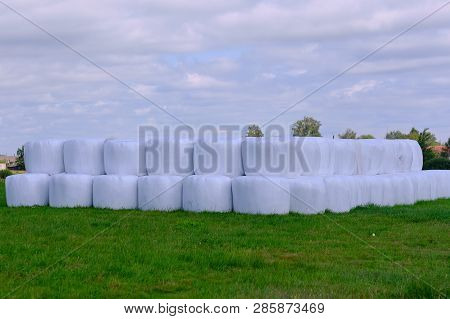 Hay Packed In Polyethylene Pvc Packaging Lies On The Field On Green Grass On A Sunny Summer Day.