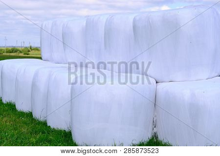 Hay Packed In Polyethylene Pvc Packaging Lies On The Field On Green Grass On A Sunny Summer Day.