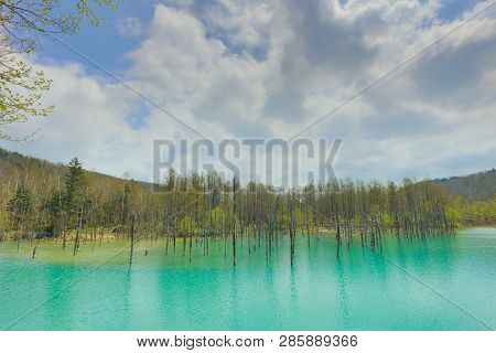Blue Pond Aoiike ,biei Hokkaido Japan