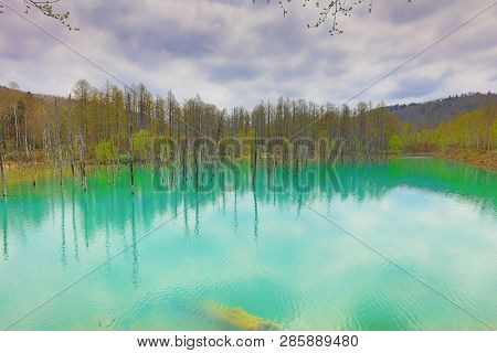 Blue Pond Aoiike ,biei Hokkaido Japan
