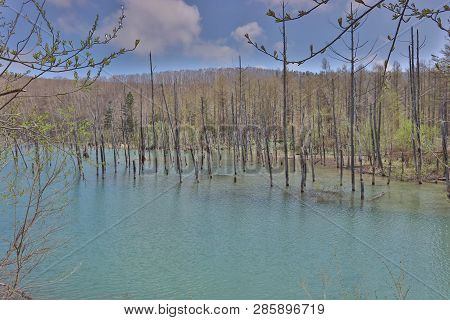 Blue Pond Taken During Summer Biei, Japan