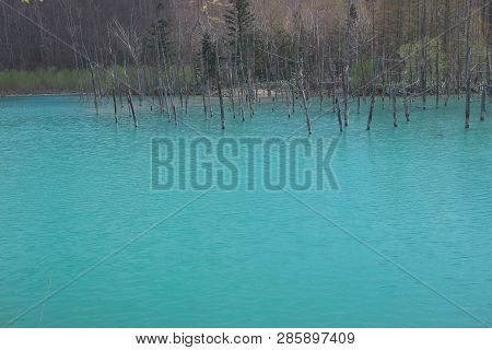 Blue Pond Taken During Summer Biei, Japan