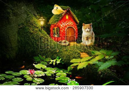 A House Of Strawberries Of A Small Beautiful Cat Among Moss Under A Tree In The Forest And A Lake Wi