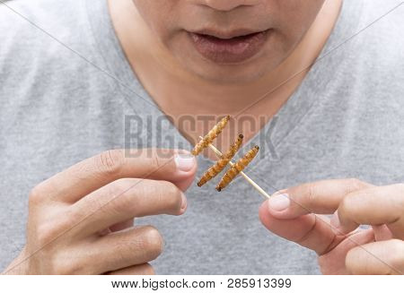 Food Insects: Man Eating Bamboo Worm On Wooden Skewer. Bamboo Caterpillar Deep-fried Crispy For Eat 