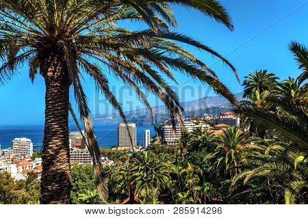 View Of Puerto De La Cruz On Tenerife Island