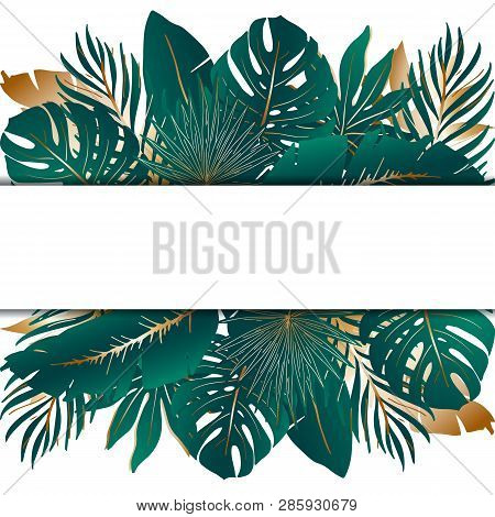 Tropical Plant Card. Horizontal Frame Of Green And Golden Palm Leaves, Leaves Of Monstera And Banana