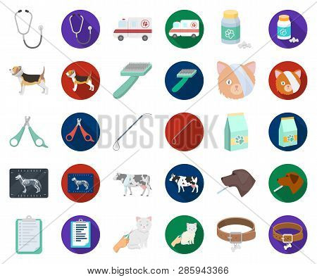 Veterinary Clinic Cartoon, Flat Icons In Set Collection For Design. Treatment Of A Pet Vector Symbol