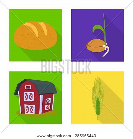 Isolated Object Of Wheat And Corn Icon. Set Of Wheat And Harvest Vector Icon For Stock.