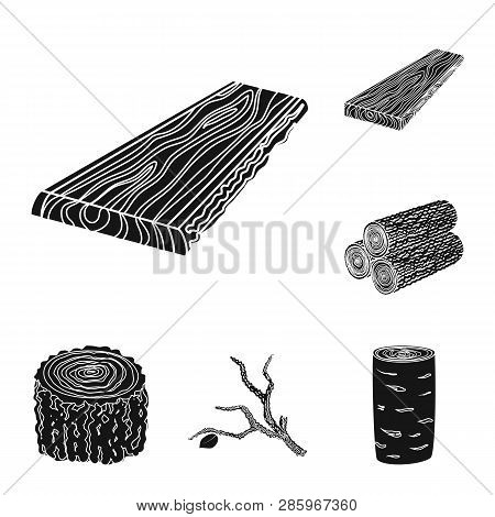 Vector Design Of Hardwood  And Construction Logo. Set Of Hardwood  And Wood Stock Vector Illustratio