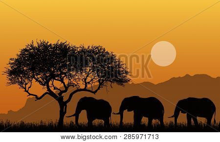 Illustration Of Silhouettes Of Mountain Landscape Of African Safari With Tree, Grass And Three Eleph