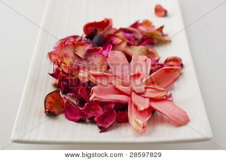 Pot-Pourri