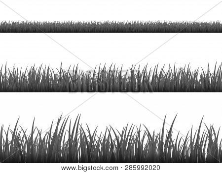 Grass Meadow Border Vector Pattern. Spring Or Summer Plant Field Lawn. Black And White Grass Backgro