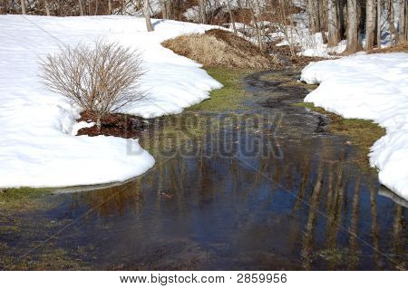Bomen In een Snowy Stream-Rt