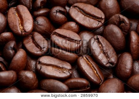 Grains de café
