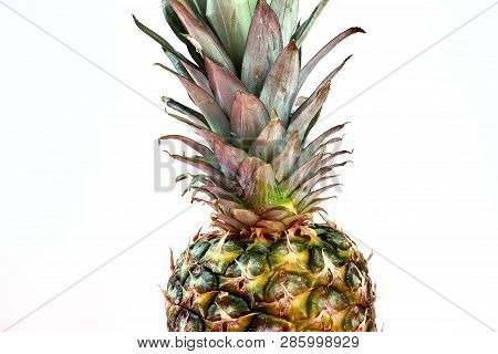 Hawaiian Pineapple On Pink Background. Healthy Exotic Ananas On Color Background, Cropped Image.