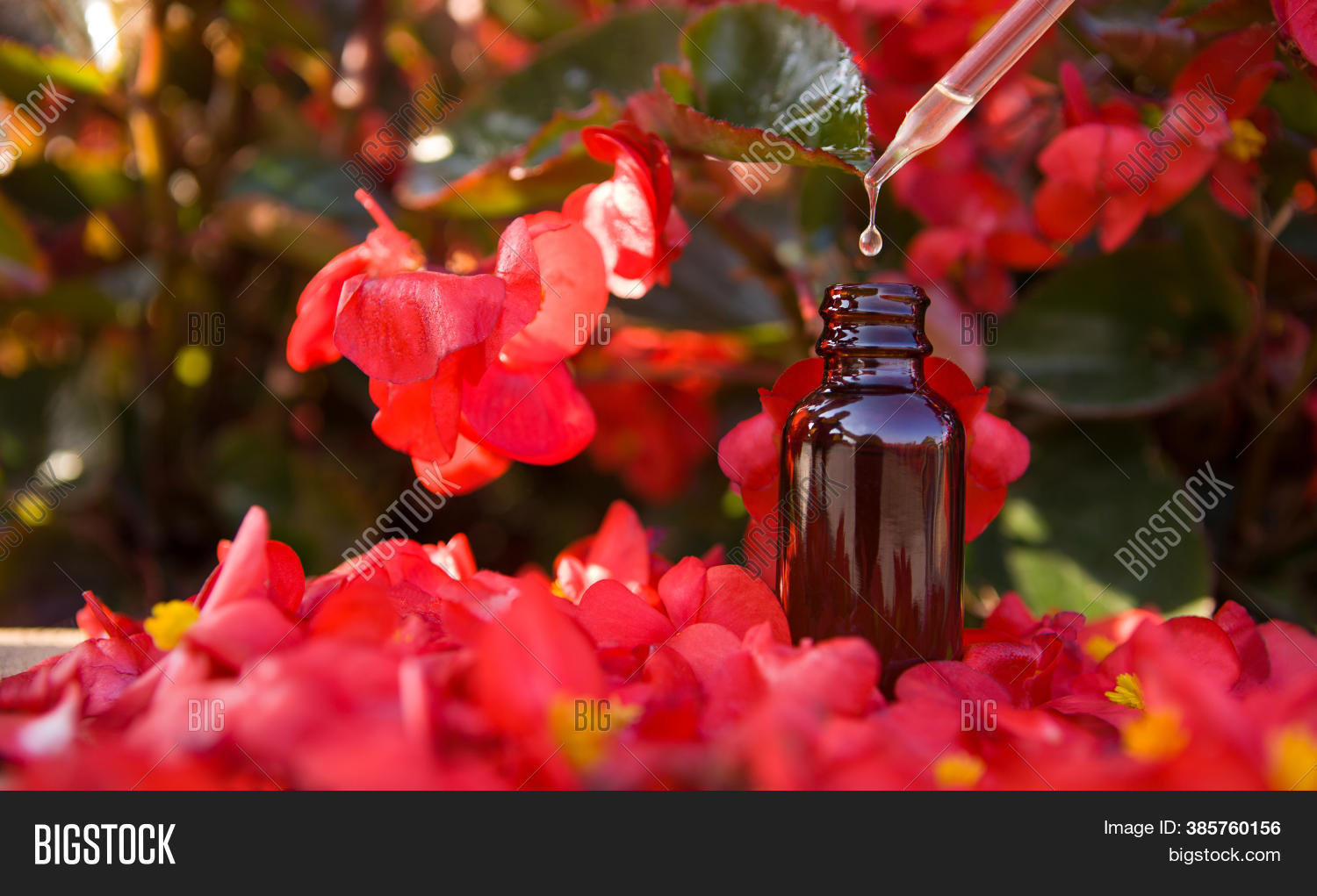 Essential Oils Dropper Image & Photo (Free Trial) Bigstock