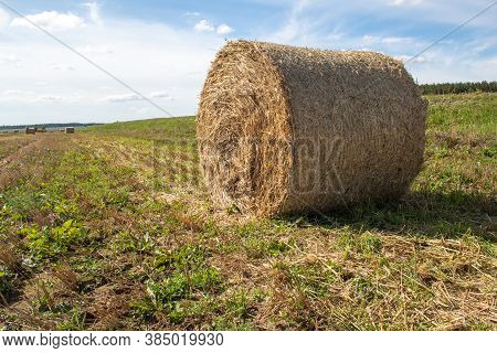 Roll Of Mown And Dried Grass On The Field On A Sunny Day.