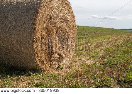Roll Of Mown And Dried Grass On The Field On A Sunny Day.