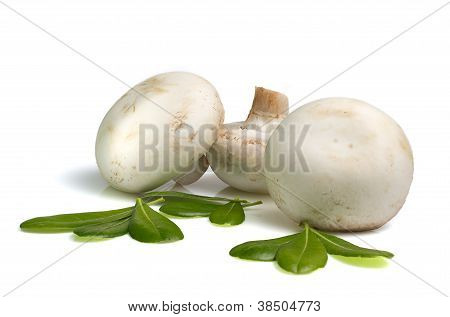 Tres setas