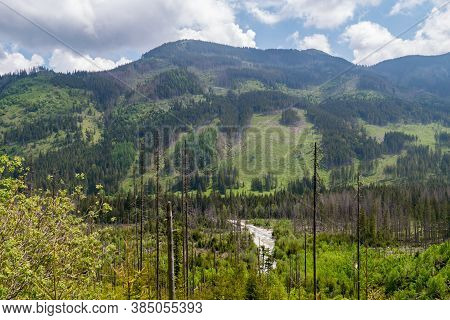 Landscape View With Hill With Trees In Tatra National Park In Poland.