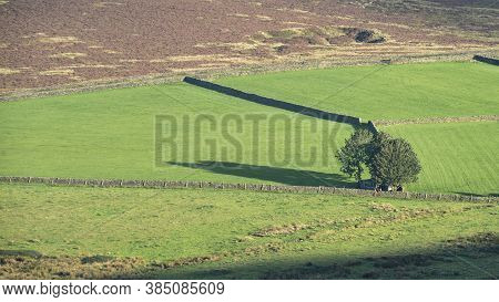 Stunning Landscape Image Of Late Summer Evening Light Casting Long Shadows Of Tree Across Vivid Land