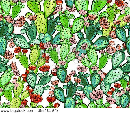 Cactus Hand Drawn Vector Seamless Pattern. Creative Texture Doodle Style. Isolated Vector Object. Ex