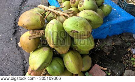 Fresh Green Tender Coconut, Coconuts, Cocos Nucifera Is A Member Of The Palm Tree Family