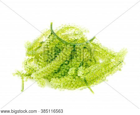 Sea Grapes ( Green Caviar ) Seaweed On White Background.clipping Path