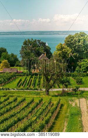 Curtural Landscape With Fruit Plantation Near Hagnau At Lake Constance (germany)