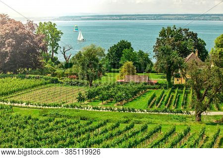 Curtural Landscape With Fruit Plantation Near Hagnau At Lake Constance (germany)