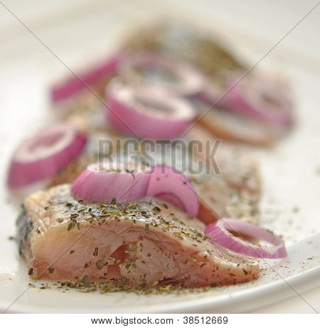Sleď obecný