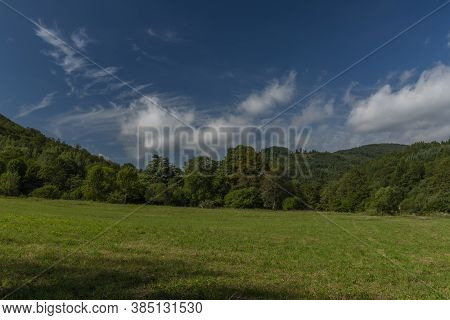 Green Meadow And Forest Near Osadne Village In Valley Of River Udava