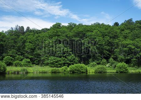 A Lake Within Sunnybrook State Park In Torrington Connecticut On A Sunny Summer Day In New England.