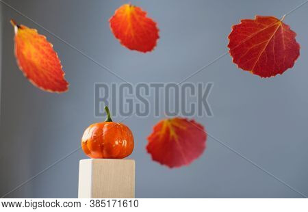 Red Autumn Leaves And Small Pumpkin On A Wooden Podium. Toy Pumpkin As Halloween Symbol And Autun Se