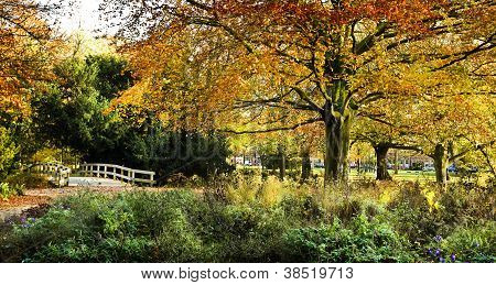 Affichage à l'entrée du parc en automne
