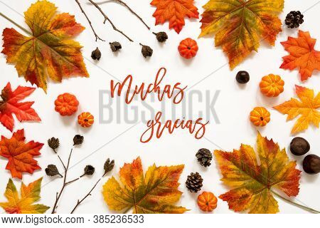 Colorful Autumn Leaf Decoration, Spanish Text Muchas Gracias Means Thank You